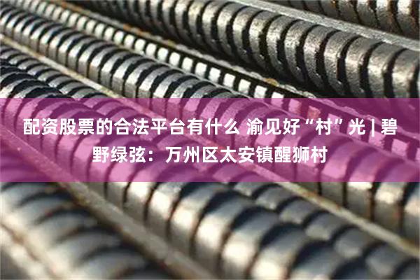 配资股票的合法平台有什么 渝见好“村”光 | 碧野绿弦：万州区太安镇醒狮村