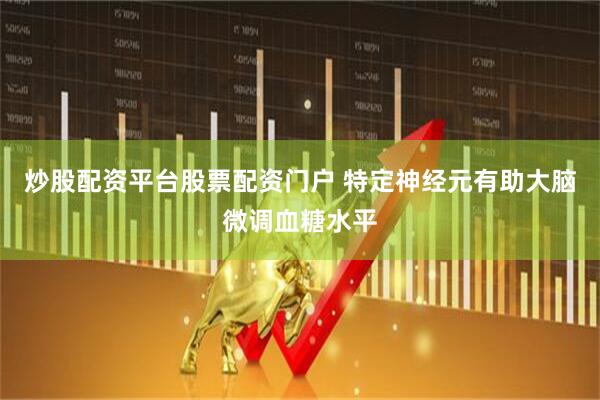 炒股配资平台股票配资门户 特定神经元有助大脑微调血糖水平