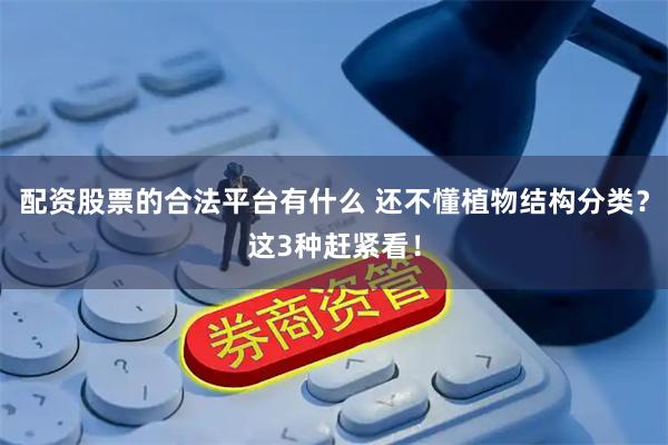 配资股票的合法平台有什么 还不懂植物结构分类？这3种赶紧看！