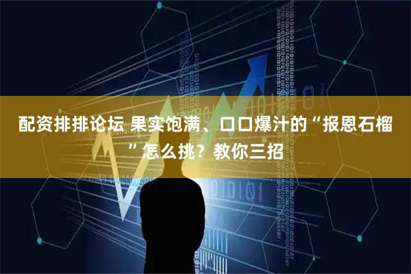 配资排排论坛 果实饱满、口口爆汁的“报恩石榴”怎么挑？教你三招